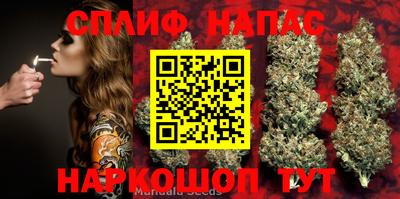 прущие грибы Волжск