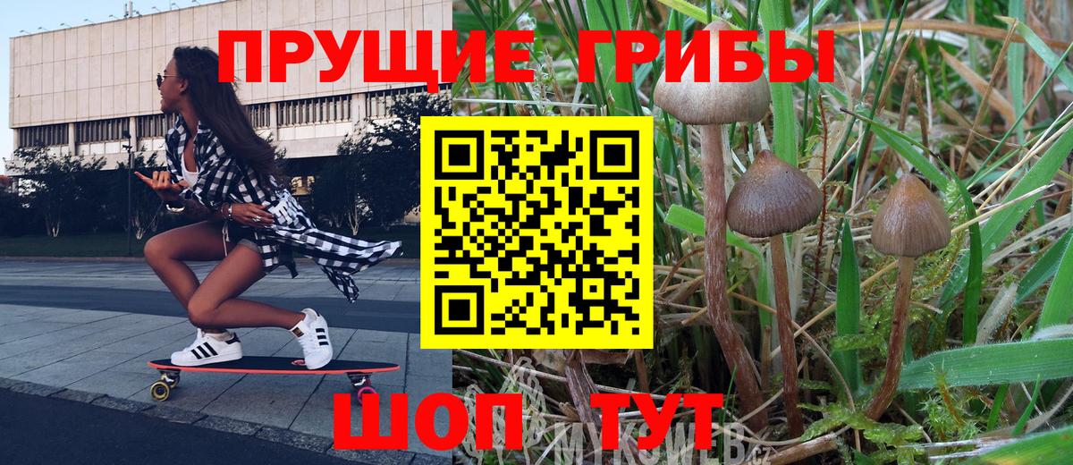 Галлюциногенные грибы мицелий Орехово-Зуево